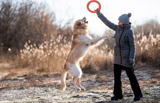 Golden retriever dog with woman
