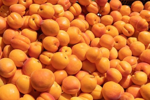 ripe fresh apricots in a box in a market close-up