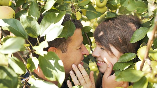 A boy and a girl in love in the branches of an apple tree hugging each other.