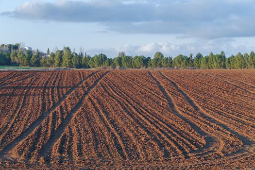farmland with tractor tracks
