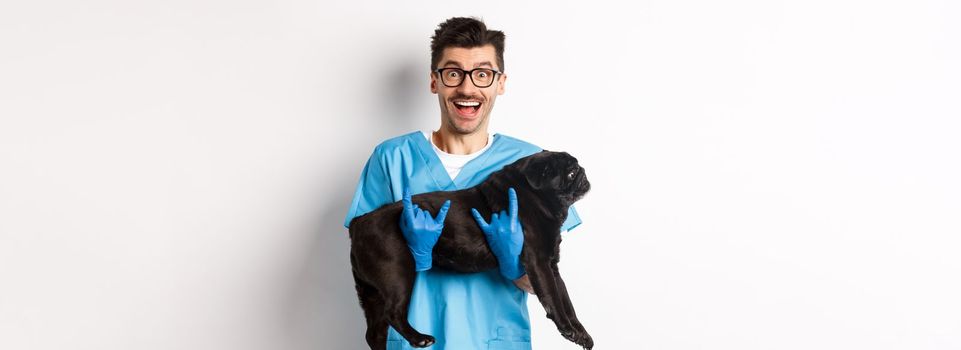 Vet clinic concept. Happy male doctor veterinarian holding cute black pug dog, smiling at camera, showing rock-n-roll gesture, white background