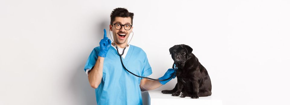 Excited male doctor veterinarian having an idea while examining cute pug dog with stethoscope, raising finger in eureka sign, white background