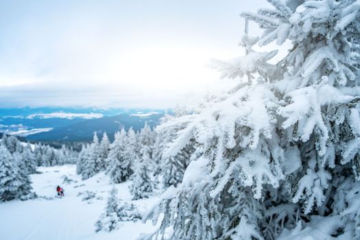 Picturesque winter landscape from mountain