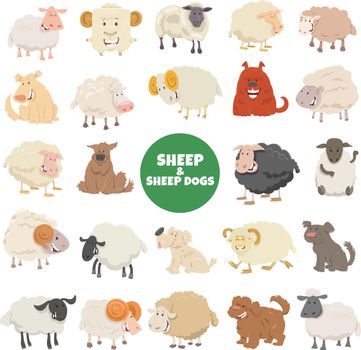 cartoon sheep and sheepdogs characters big set