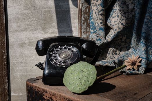Fresh green lotus seed pods with Old black retro rotary Telephone. 