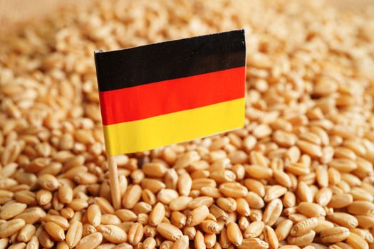 Germany on grain wheat, trade export and economy concept.