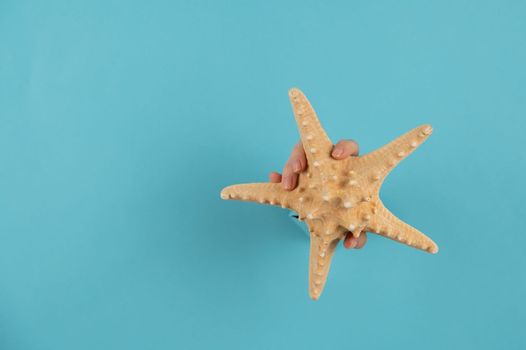A hand with a starfish sticking out of a hole in a blue cardboard background.