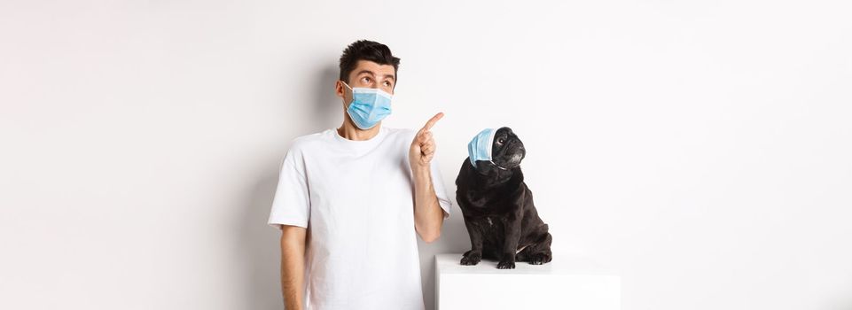 Covid-19, animals and quarantine concept. Young man and black dog wearing medical masks, pug and owner looking at upper left corner, white background.