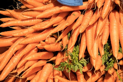 bunches of fresh carrots on a market stall