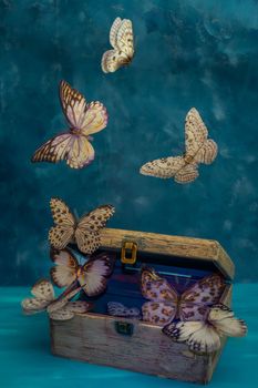 butterflies flying blue background
