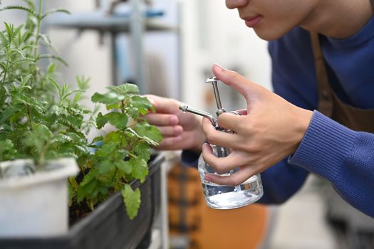 Cropped shot of man taking care of plants and spraying a plant with pure water from a spray bottle. Gardening hobby concept.