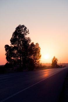 vertical photo of a regional road at sunset