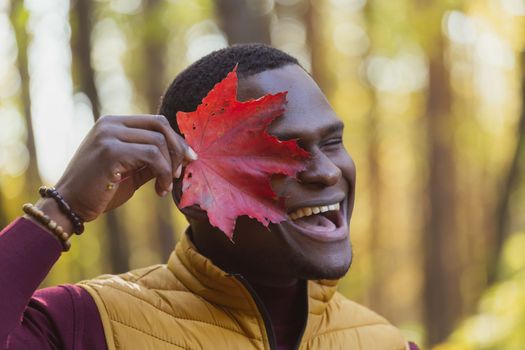 Portrait of funny face emotion african american man covering his face with autumn maple leaf. Autumn nature. Seasonal fall fashion.