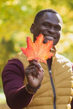 Close up portrait of african american man gives autumn maple leaf. Autumn nature. Seasonal fall fashion.