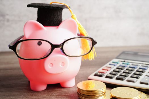 Pigging bank wearing eyeglass with coins and calculator saving bank education concept.