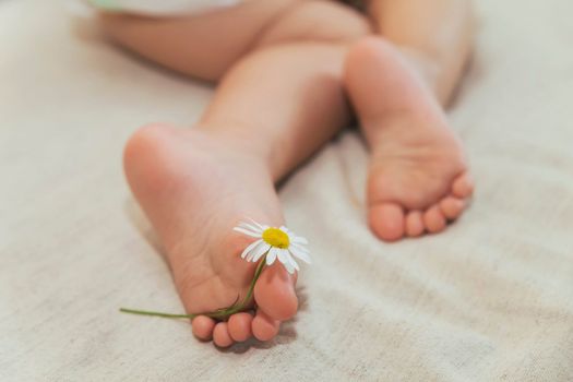 Sleeping baby holding a camomile with his foot