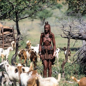 May 15, 2005. unidentified Himba woman with a herd of goats. Epupa Falls, Kaokoland or Kunene Province, Namibia, Africa