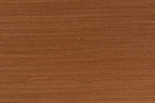 Texture of mahogany. Bright texture of mahogany veneer for furniture production