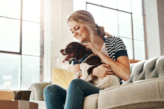 Woman, dog and calm smile on sofa in living room for animal care, love and support in home. Young female, pet care and relax peace on couch, playful and happiness lifestyle together with therapy dog.