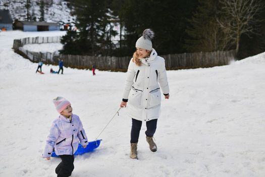 A mother with child sledding on the snow