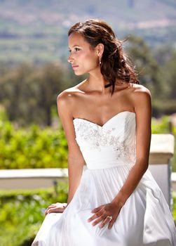 Gorgeous and regal. Gorgeous young bride outdoors in her wedding dress.