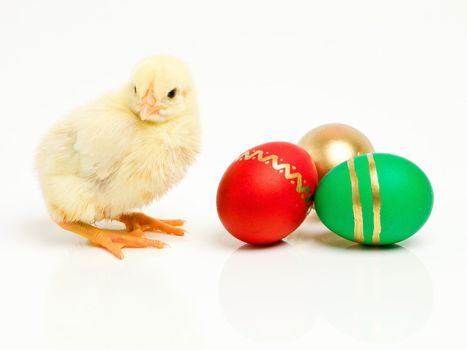 Brown is so last year. Studio shot of a fluffy chick standing next to an assortment of beautifully decorated eggs.