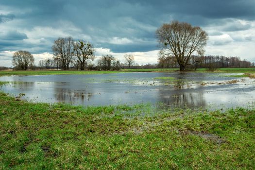 Cloudy sky over a flooded green meadow