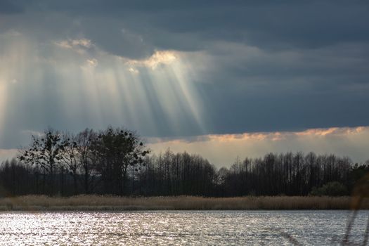 The sun's rays in the clouds and trees on the lake shore