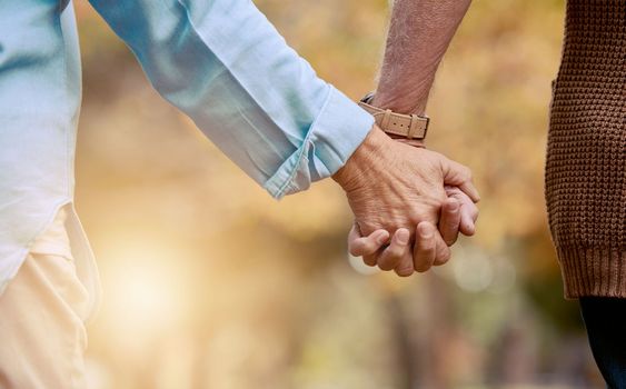 Love, nature and senior couple holding hands while walking in autumn park, forest or woods for retirement leisure. Romance, lens flare or marriage partnership of elderly man and woman bonding on date