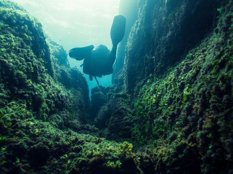 man diving between the walls of a submarine canyon