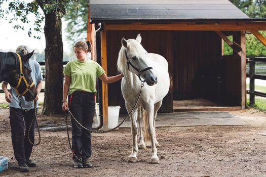 Trainer holidng a white horse on the leash getting him ready for horse back riding