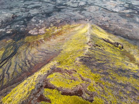 Icelandic volcanic lands and moss covered grounds