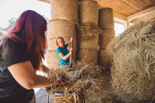 Woman working with the ranch loading hay to a wheelbarrow