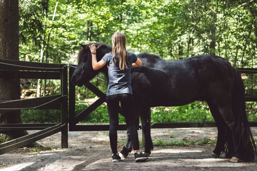 Unrecognizable woman trainer grooming a black horse outside in the forest