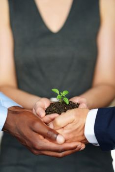 Helping business flourish together. Closeup shot of a group of businesspeople holding a plant growing out of soil.
