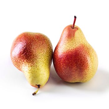 The perfect pear. Studio shot of ripe pears against a white background.