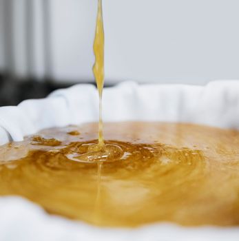 Honey production, extraction and drip in factory with sweet gold, splash and filter cloth in container. Honeycomb harvest, manufacturing and process with machine, liquid and beekeeping in California
