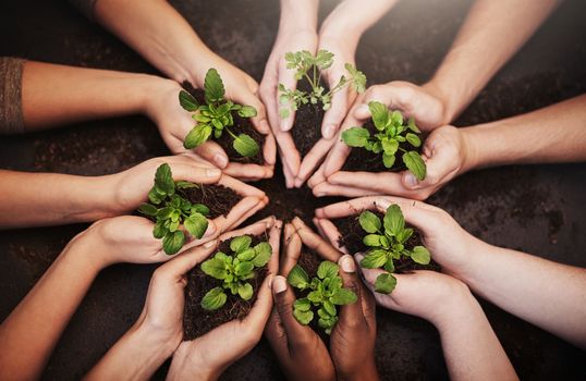 Planet earth is our responsibility. High angle shot of a group of unrecognizable people holding soil and budding plants.