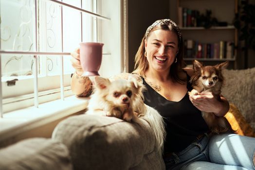 The tiniest pets can show the biggest loyalty. a young woman having coffee and relaxing with her dogs on the sofa at home.