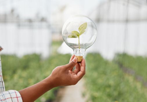 What ideas do you have to save the earth. Closeup shot of an unrecognisable man holding a lightbulb with a plant growing inside.