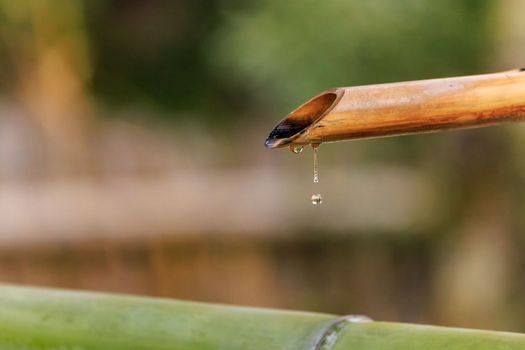 Bamboo Pipe Drip: Capturing the Beauty of Falling Water. High quality photo