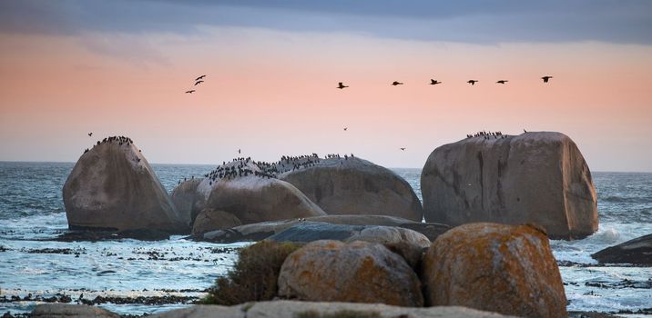 Rocky coastline of the Western Cape. A rocky coastline in the Western Cape, South Africa.
