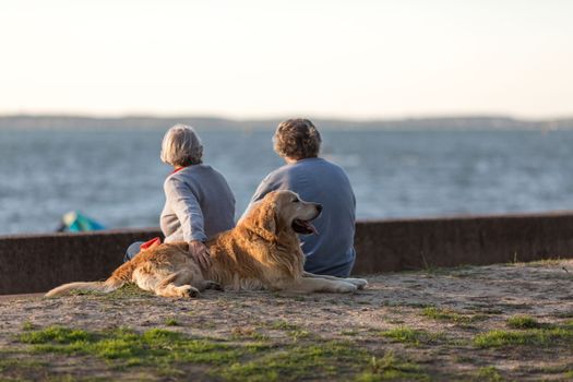 senior couple sitting on a bench with their dog