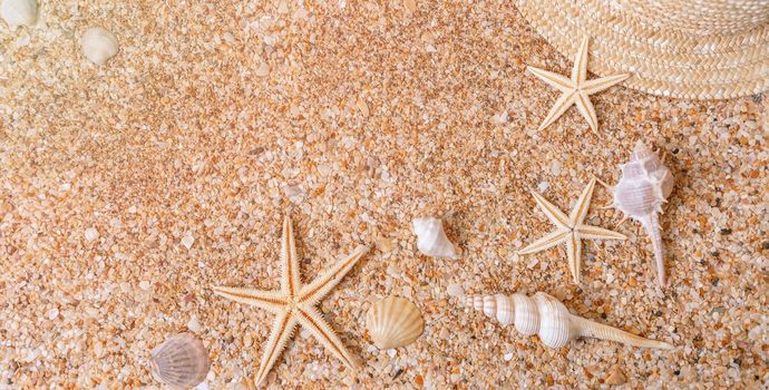 Sand shells banner background. Summer time concept with sea shells and starfish on the sand