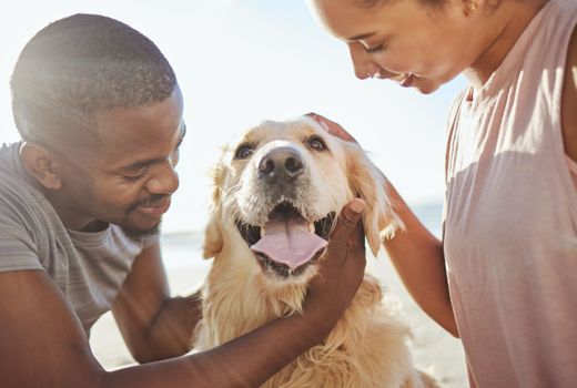 Couple, dog and love, together at beach for fun trip, happy and pets animal with care. Bonding, spending quality time and black man with woman by the ocean on adventure with golden retriever puppy