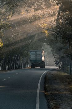 An early winter morning drive on a Bangladeshi road