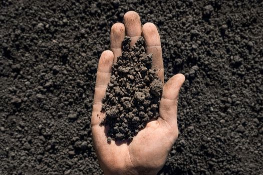 Farmer hand soil ground earth garden soil farm ground dirt. Handful of dirt hand holding soil earth. Organic earth day. Male hands full of fertile land. Business agriculture concept. Planting. Closeup