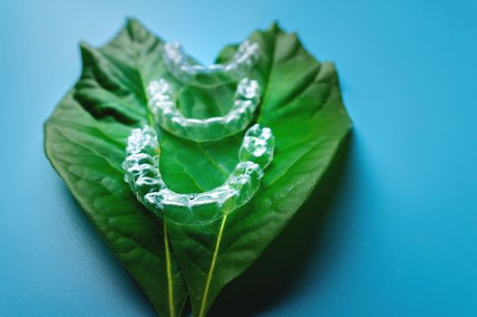 top view, three pieces of plastic braces lie on a green leaf from a flower on a blue background. dental treatment concept