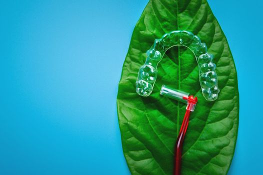 juicy green leaf on which lies a plastic transparent bracket and a red interdental brush, dental and cosmetic care