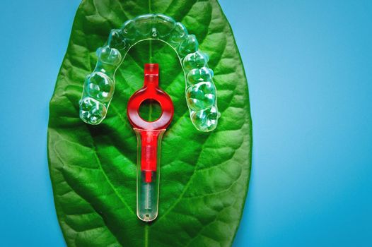 juicy green leaf on which lies a plastic transparent bracket and a red interdental brush, dental and cosmetic care